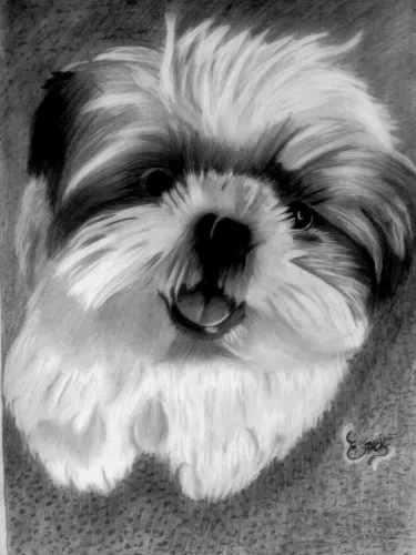 Desenho estilo realista 