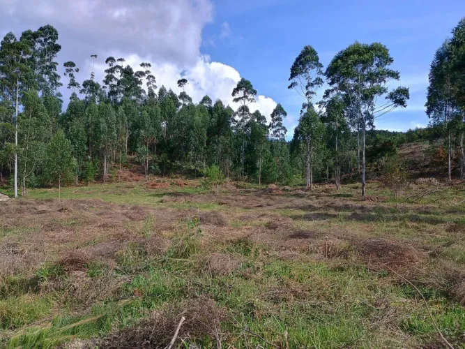 ANITÁPOLIS/SC - Lindo terreno para sítio 2hectares todo plano.