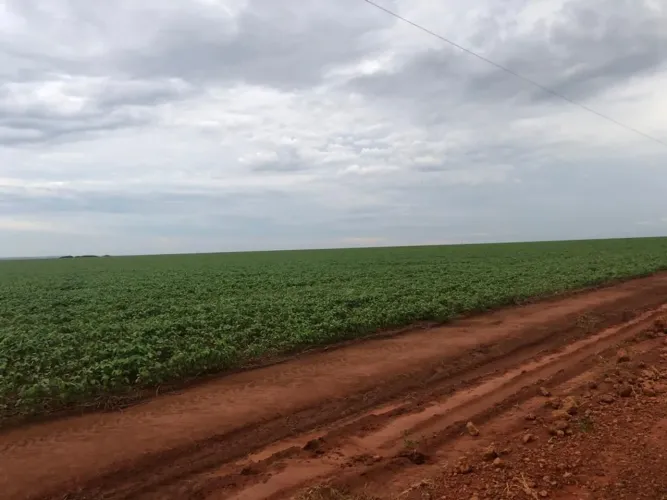 Fazenda 3.364hec em Lucas do rio verde, 1.800 abertos R$:700 sacas área aberta 
