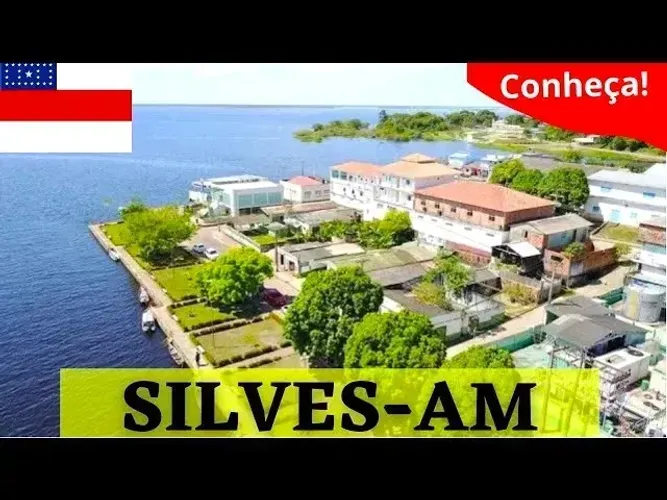 Lote Terreno Município de Silves-AM 12.000m² Financia