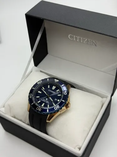 Citizen Eco Drive BN0196-01L