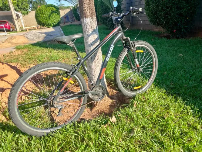 Bicicleta CALOI Two Niner