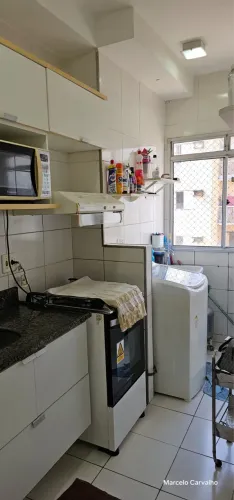 Fit coqueiro 2
