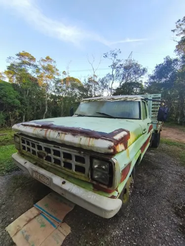 FORD F4000 1976
