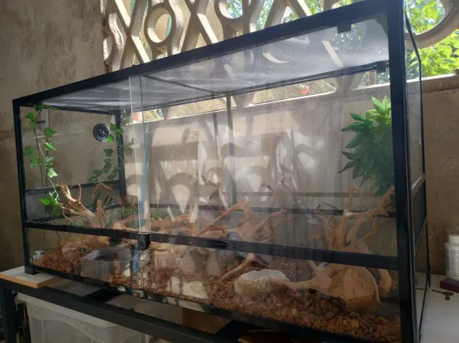 Terrário biosuud de vidro