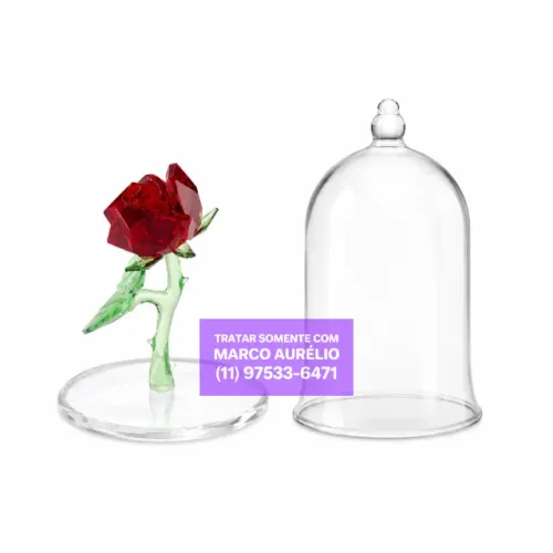 Swarovski Rosa Encantada A Bela e a Fera em Cristal Original - R$ 1.000