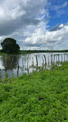 Fazenda em Pedra Lavrada PB 