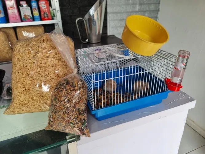 Gaiola roedores hamster porquinho da india