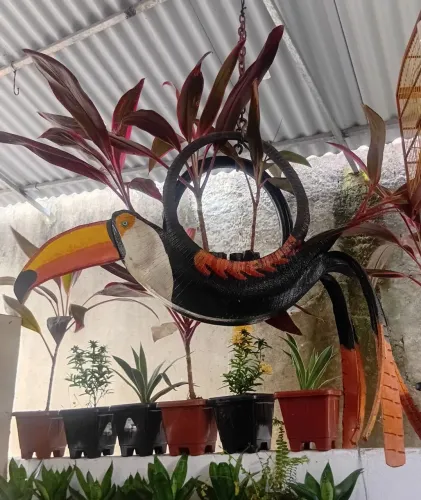 Jardineira tucano