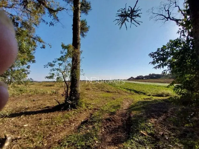 CHACARA /SJP/ NHOAIVA