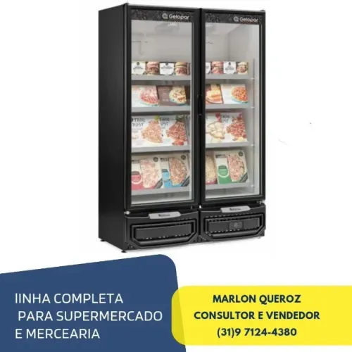 Freezer Vertical 2 Portas Gelopar Novo