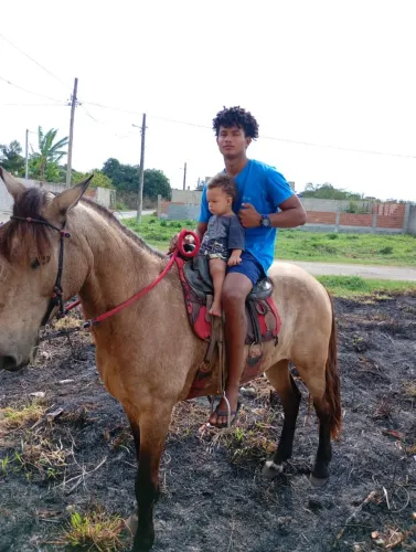 Cavalo baio manga larga