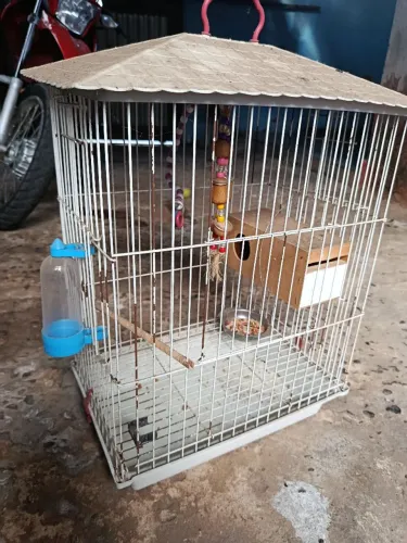 Gaiola para calopsita/periquito