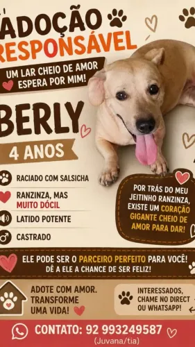 Adoção responsável!Cãozinho Berly e super dócil e brincalhãoesta procurando um tutor