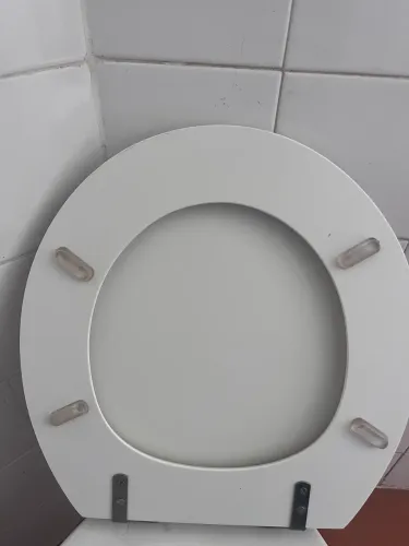 Assento vaso sanitário acrílico branco oval