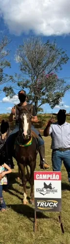 Cavalo Mangalarga Marchador