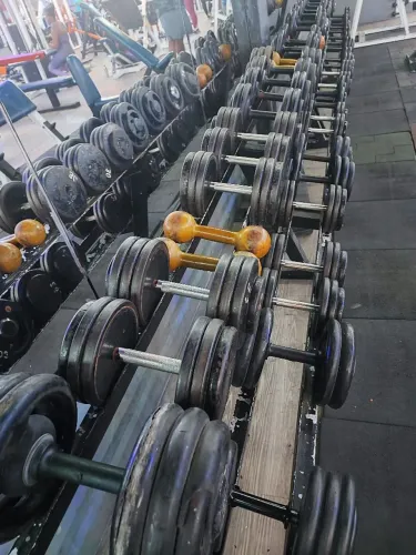 Dumbells Halteres, equipamentos de musculação e elípticos, profissionais de academia.