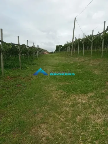 Area residencial /comercial com 13.000m² a venda em Jundiaí - SP