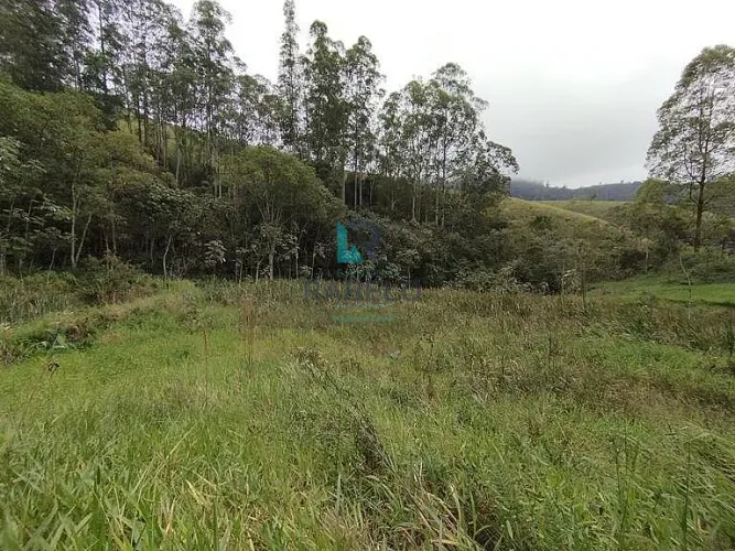 SÍTIO FORMADO RICO EM ÁGUA E PASTO EM PIQUETE-SP