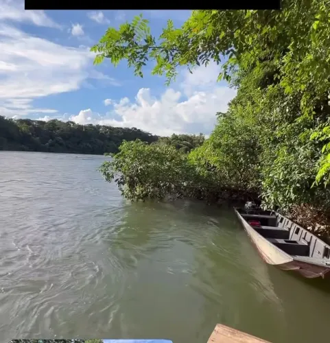 Vida nova na natureza Jambeiro Lauro de Freitas
