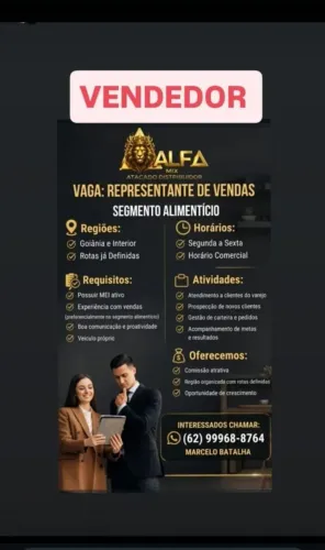 Vendedor/representante comercial