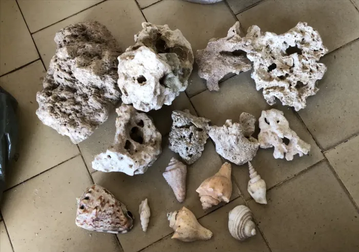 PEDRAS E CONCHAS NATURAIS