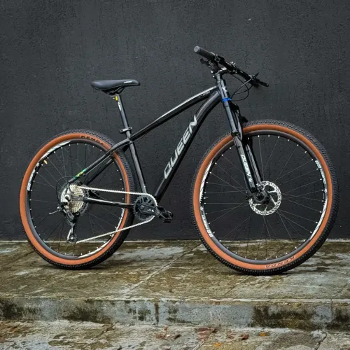 Queen Titan NS 29 12v - Vow Bikes