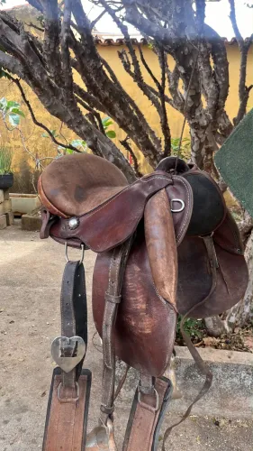 Sela australiana