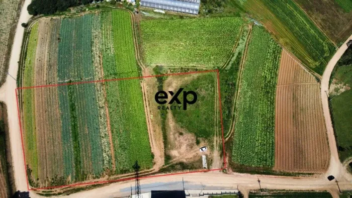 Área rural a venda no Colônia Murici, Caminho do Vinho, São José dos Pinhais