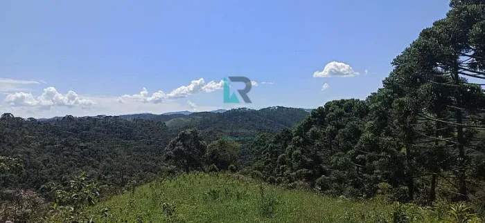 SÍTIO FORMADO PRÓXIMO AO PARQUE DA SERRA DO MAR EM CUNHA-SP