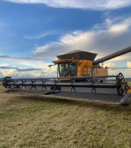 Colheitadeira Draper BC 8800 