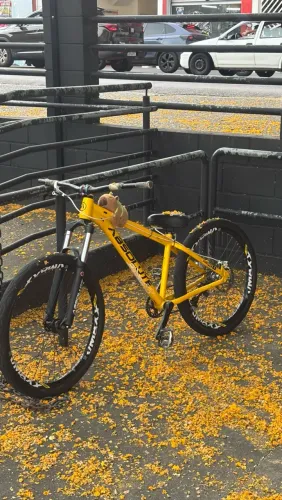 Bicicleta bike grau aro 26 Absolute Nero 5 Amarela tamanho 15 