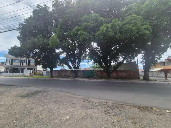 Terreno frente Av. Em Penha
