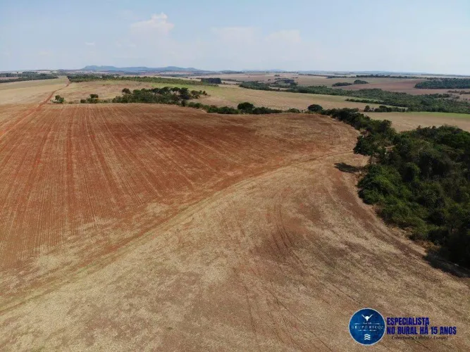 Fazenda à Venda em Caiapônia - GO | 200 Alqueires | Lavoura