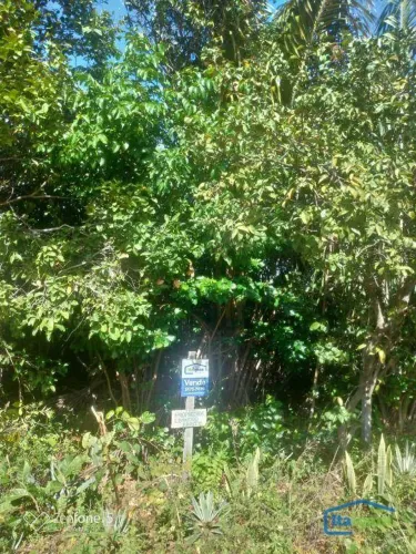 Terreno à venda, 766 m² por R$ 180.000,00 - Porto de Sauipe - Entre Rios/BA