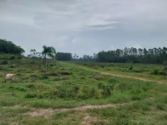 Área para venda, Ilhota - SC, Área com boa parte já terraplanada.