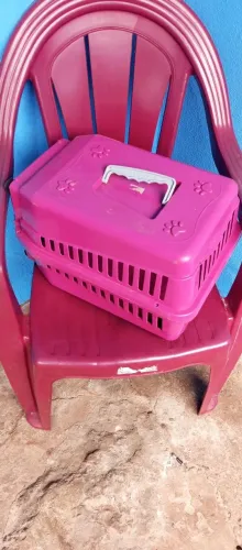 Caixinha transportadora pet