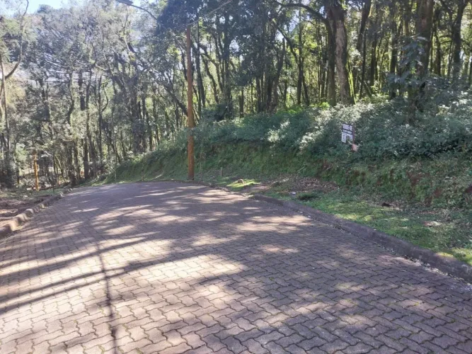 Terreno a venda em Canela RS no condominio Pinheiro Grosso