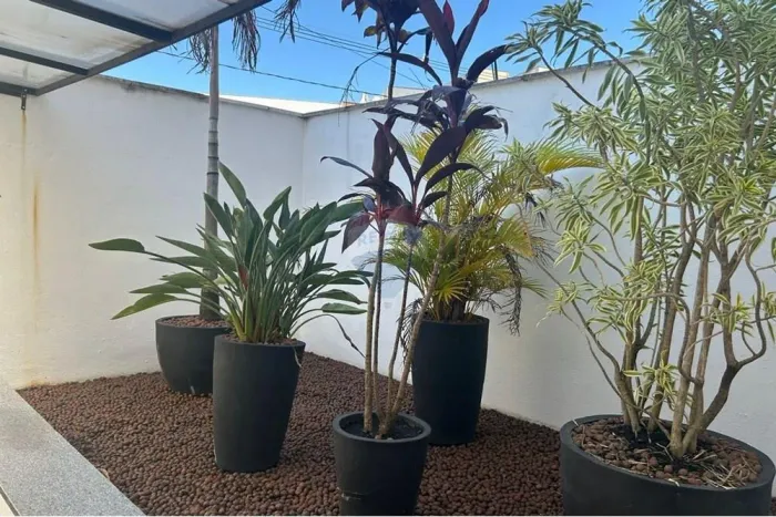 Apartamento Dois Quartos no Bairro Monte Libano