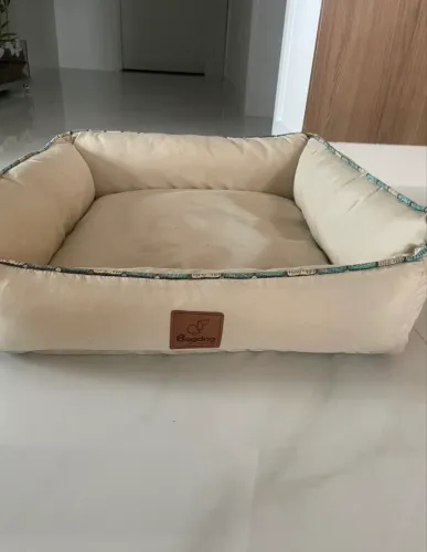 Caminha para Pet