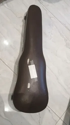Violino lucius