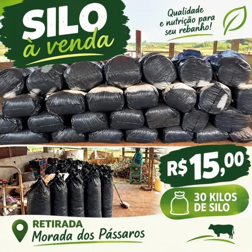 Silo de milho
