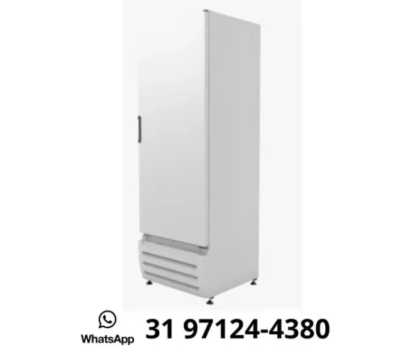 Freezer Congelador Vertical 500L Braslar