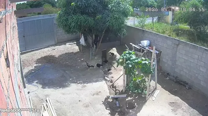 Fica prox a br 500 mts da br prox ao restante budega sertaneja sentido Tiquaruçu