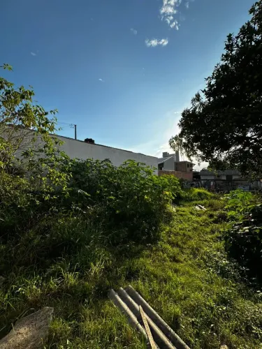 Terreno borda do campo sjp bem localizado 6x37 com 222m2