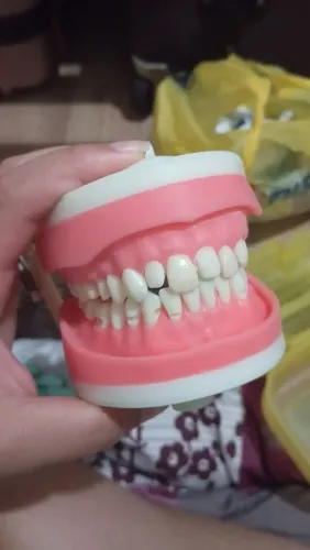 Manequim dentistica e perio
