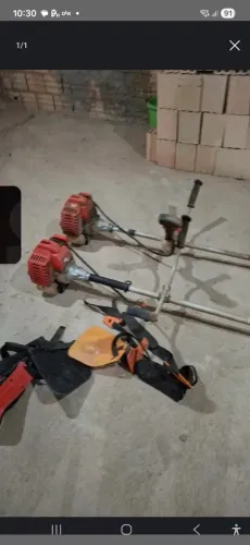 2 Rosadeiras