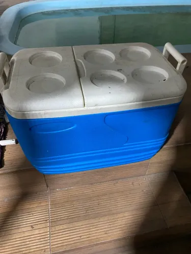 VENDE-SE COOLER TÉRMICO PARA BEBIDAS!