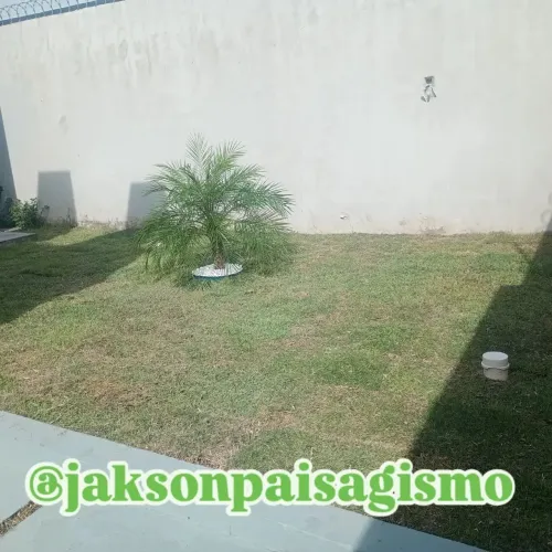 Grama Jardinagem Manutenção Paisagismo
