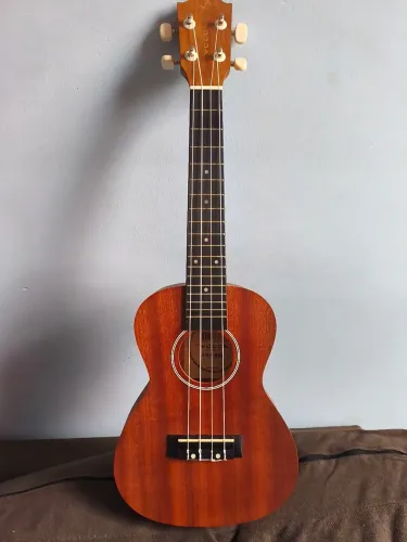 Ukulele Concert Vogga